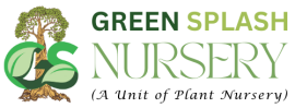 Green Splash Nursery
